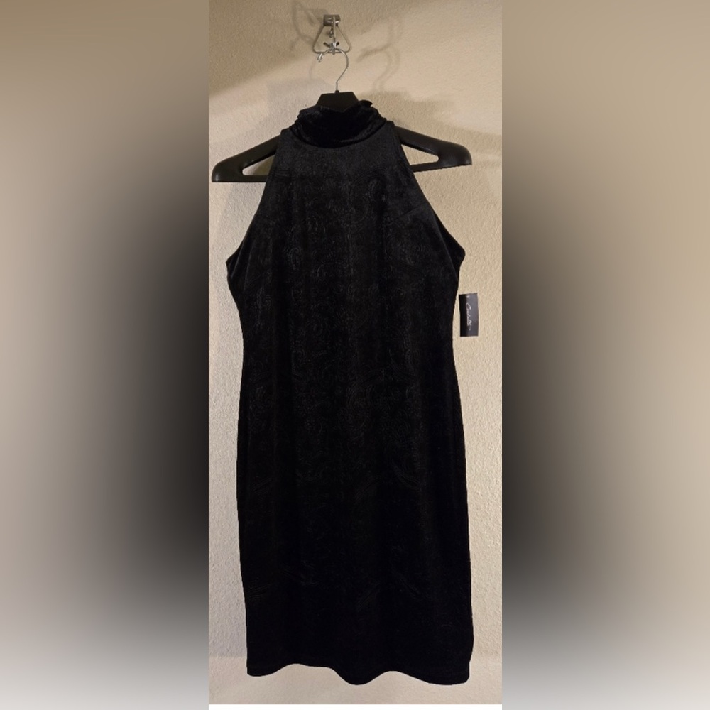 Brand New Stretch Dress